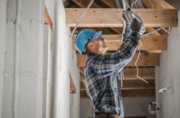 Best Local Electrician Companies  in Clarence, IA