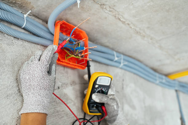 Best Licensed Electrician  in Clarence, IA